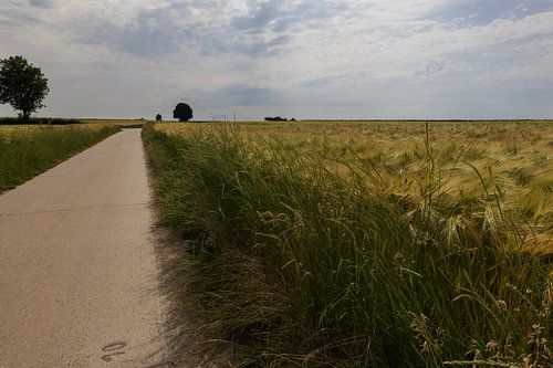 Akkerland in Belgisch Limburg