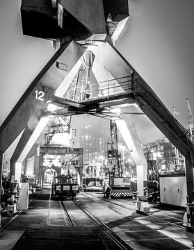 Grues au quai Leuvehaven, Rotterdam sur Govart (Govert van der Heijden)