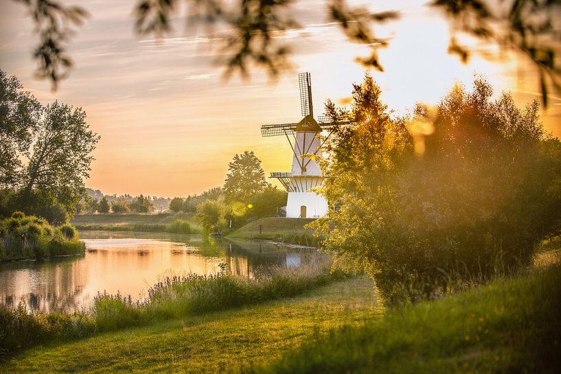Mill The Butterfly bei Sonnenaufgang von Caroline van der Vecht