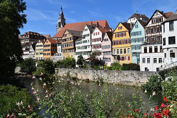Kleurrijk middeleeuws Duits stadje met een rivier op de voorgrond van Studio LE-gals