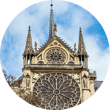 Gezicht op de kathedraal Notre-Dame in Parijs, Frankrijk van Rico Ködder