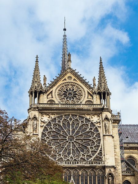 Blick auf die Kathedrale Notre-Dame in Paris, Frankreich von Rico Ködder