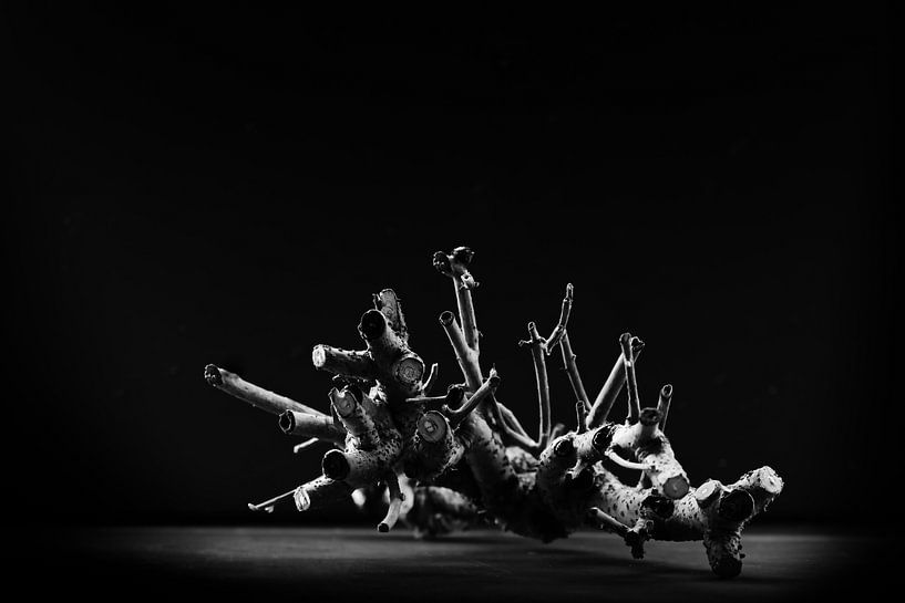 Branches dansantes par Jean Arntz