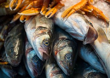 Fresh fish at the Torvehallerne in Copenhagen by Teun Janssen