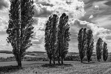 Little Tuscany @ Eyserhalte by Rob Boon