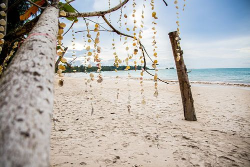 Schelpen op het strand van Thailand