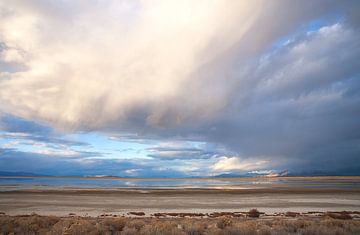Antilope Island, Great Salt Lake van Esther Eberwijn