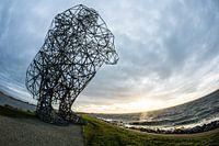 de denkende man bij Lelystad