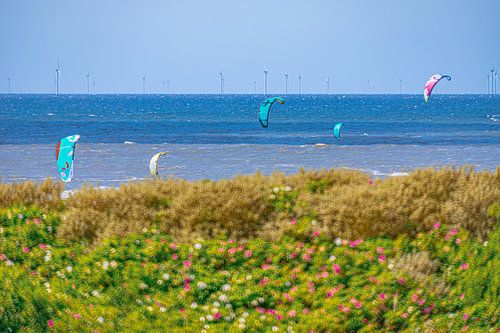 Noordzee met Bloemen