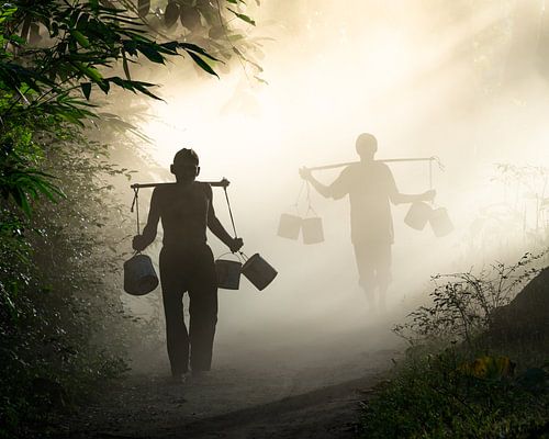 Nebel am frühen Morgen