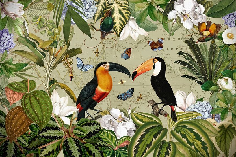 Exotische toekans in de bloesemjungle van Floral Abstractions