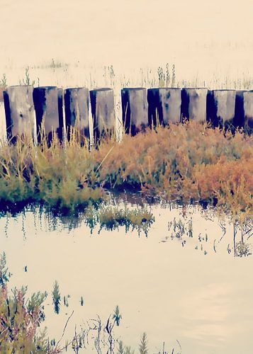 Op de Waddenzee nr. 6b