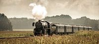 Train à vapeur dans les champs de maïs # 1 par Sjoerd van der Wal Photographie Aperçu
