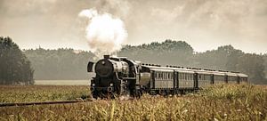 Train à vapeur dans les champs de maïs # 1 sur Sjoerd van der Wal Photographie