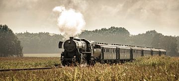 Steam train in the corn fields #1 by Sjoerd van der Wal