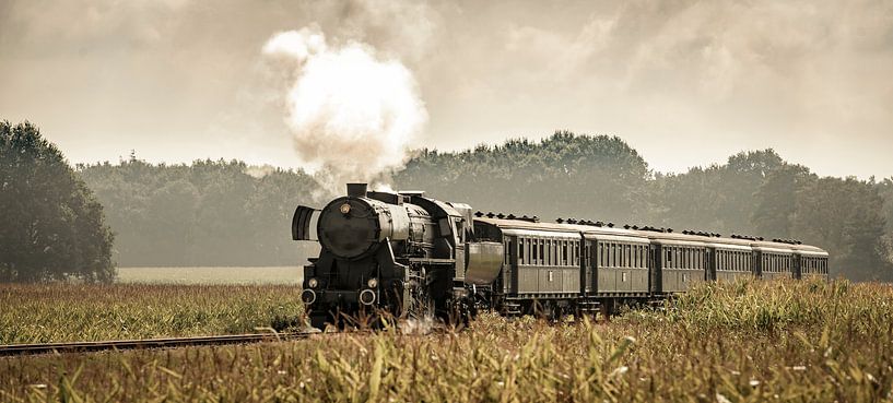 Steam train in the corn fields #1 by Sjoerd van der Wal Photography