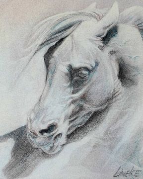 Klassiek Paardenhoofd van Lineke Lijn