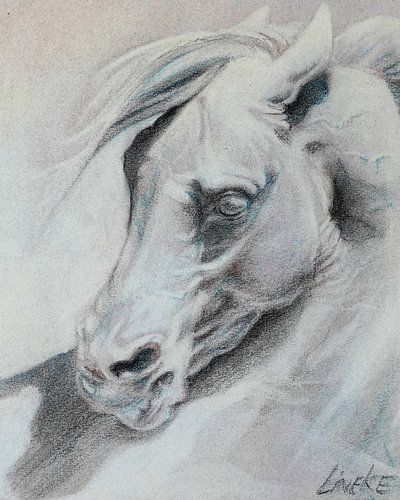 Roman Horse in pastel