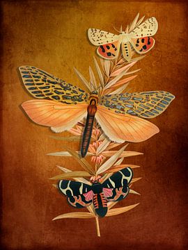 Copper Autumn by Marja van den Hurk