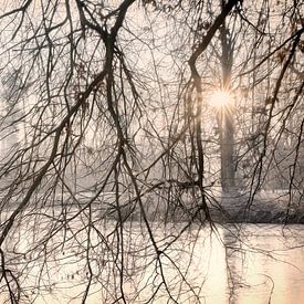 Morgensonne durch den Nebel von Ingrid Van Damme fotografie