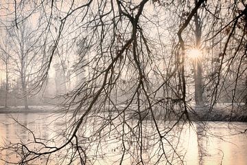 ochtendzon door de mist van Ingrid Van Damme fotografie