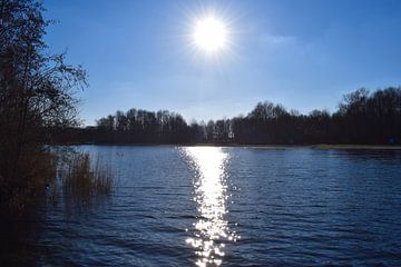 Sun flames by Shelby Greven