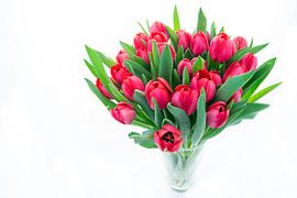 Tulpen by Annemieke Storm