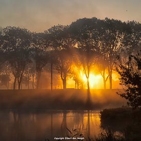 Sonnenaufgang über Alblasserwaard von Eibert den Hengst