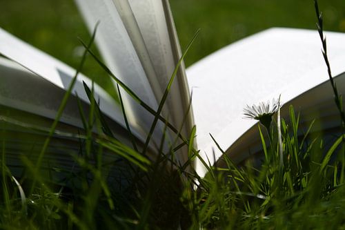 Zomertijd - Summertime and the livin' is easy!