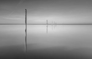 wooden Poles in lake Markermeer by Arjan Keers