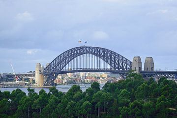 Langs het Barangaroo Reservaat naar de Harbour Bridge van Frank's Awesome Travels