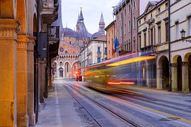 Basilika des Heiligen Antonius in Padua von Patrick Lohmüller