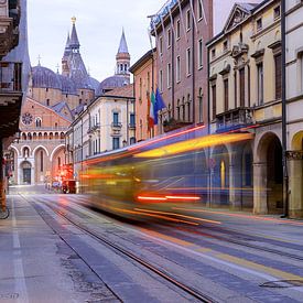 De basiliek van Sint-Antonius in Padua van Patrick Lohmüller