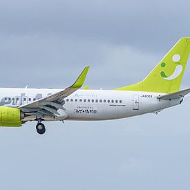 Solaseed Air Boeing 737-800 Passagierflugzeug. von Jaap van den Berg