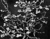 Almond blossom by Vincent van Gogh (black) by Masters Revisited thumbnail