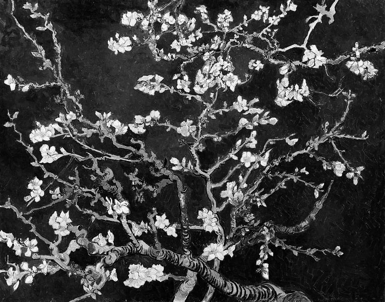 Almond blossom by Vincent van Gogh (black) by Masters Revisited