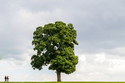 Die Arbeit der Menschen I