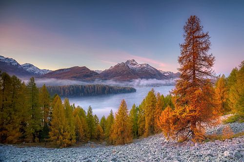 Autumnal morning atmosphere on the Via Engadina