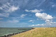 De IJsselmeerdijk vlak boven Stavoren in Friesland van Harrie Muis thumbnail