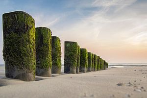 Strand von Ameland von Hans Brasz