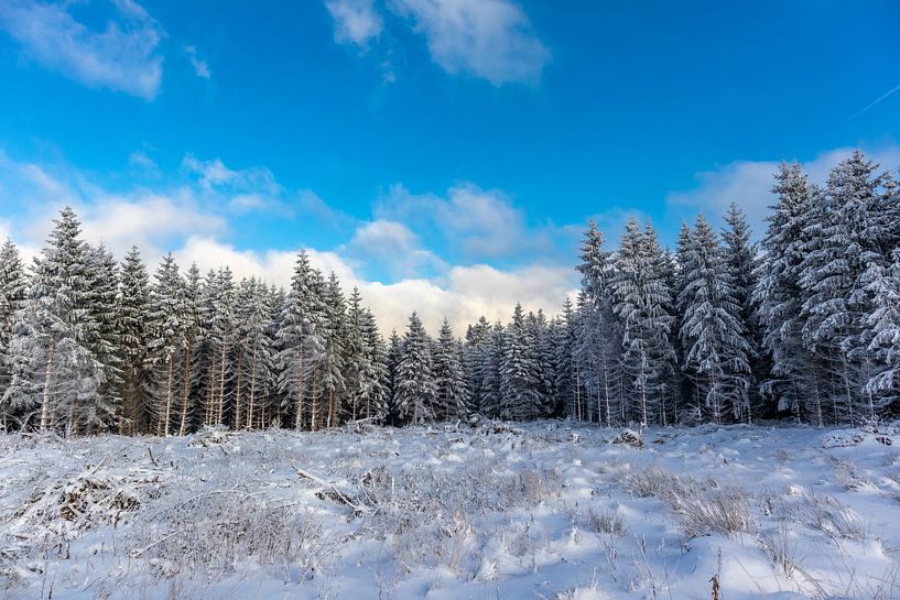 First winter hike on the Rennsteig by Oliver Hlavaty