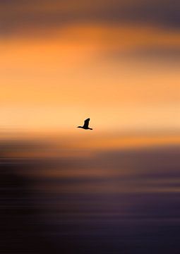 moving sunset van Britt Spee