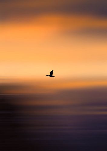 bewegter Sonnenuntergang von Britt Spee