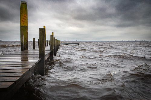 Storm op de Belterwiede van Niels Bronkema