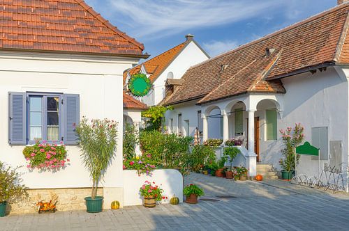 Mörbisch am See,Neusiedl meer