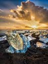 De gracieux blocs de glace à Diamond Beach, sur l'île d'Islande. par Voss Fine Art Fotografie Aperçu