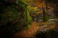 Un sentier le long d'une paroi rocheuse dans les Ardennes