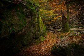Een pad langs een rotswand in de Ardennen van Geert Van Baelen