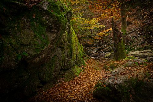 A path along a rock face in the Ardennes
