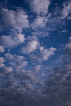Hoog in de Wolken. van Roy IJpelaar